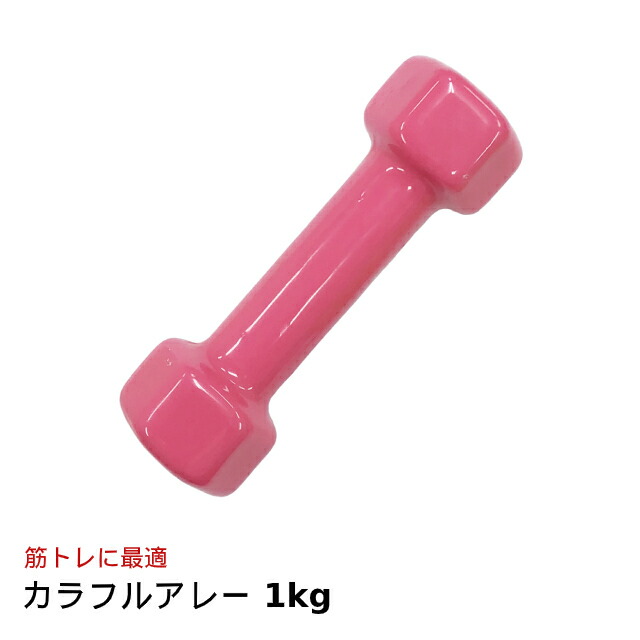 カラーダンベル 1kg 1キロ トレーニング ダンベル かわいい 女性 カラー 鉄アレイ だんべる 自宅 筋トレ グッズ 宅トレ 家トレ 初心者 室内  運動 美容 健康 筋力トレーニング ダイエット 引き締め ダイエット器具 筋力 エクササイズ トレーニンググッズ ホームジム 定価