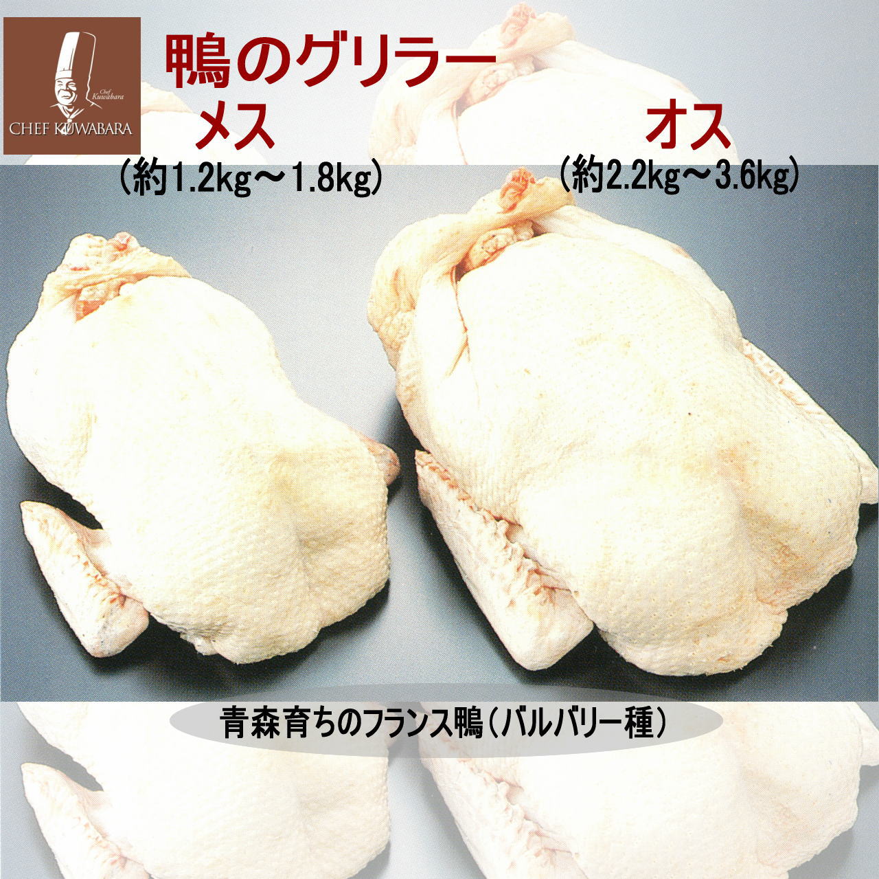 楽天市場】【冷凍便】「鴨のコンフィーセット」鴨もも骨付き 楽天市場】【冷凍便】「鴨のコンフィーセット」鴨もも骨付き