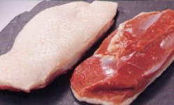 鴨オスロース（むね肉）冷凍 約1kg 約500g×2枚 （オス2枚） ステーキカット（鴨肉 生） 鴨むね肉 冷凍　国内産　青森県産　バルバリー種