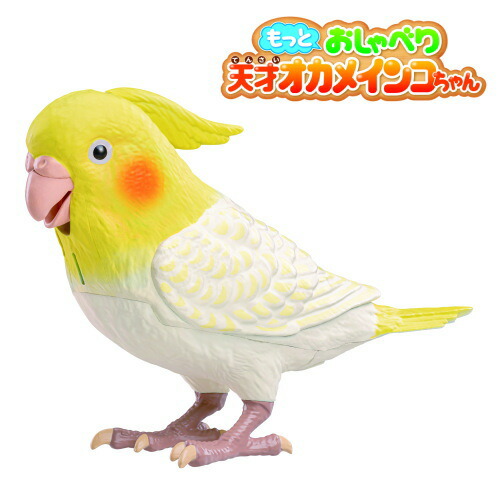 楽天市場】もっとおしゃべり天才オカメインコちゃん 手のり