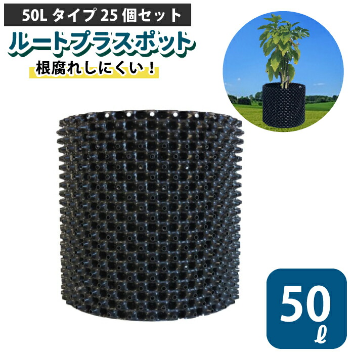 伝達ルートつけ加えるポット 50L 【25個書き割り】50リッター 鉢 高役立つこと鉢 生り物向けポット エアープルーニングコンテナ 栄実業 根一巻き押しとどめる 空気の状態切り落とす 高耐久 生り物若木 ポット 【品番：GS-AP400M】