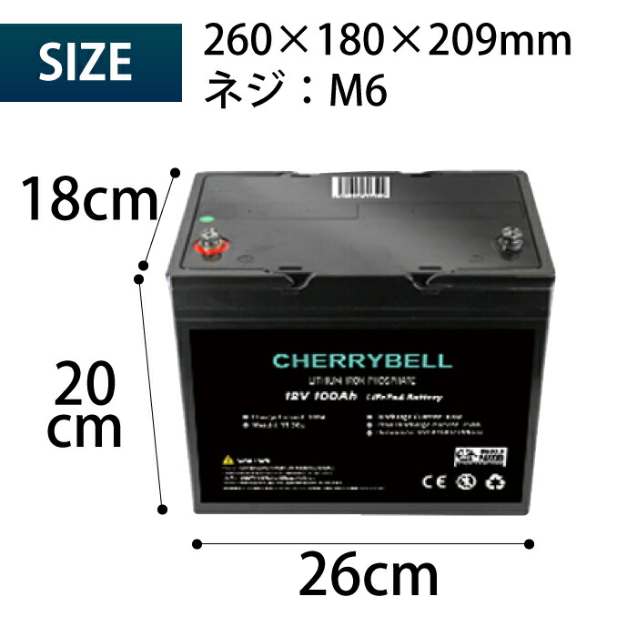 モニター価格 リチウムイオンバッテリー 12 8v 100ah Bluetooth Dsp内蔵 ソーラー マリン キャンピングカー ディープサイクル 12v 1280wh 5000サイクル 技適マーク取得済 蓄電池 大容量 車 サブバッテリー用 高機能バッテリー 家庭用蓄電池 自動車 非常用電源 リン酸鉄
