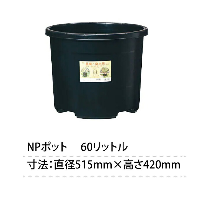 若木 生木 植木ポット 60 10個しつらえる 10pc 大学技倆 60リッター 60l 60ℓ Npポット ブルーベリー 農学 黒 径515mm 515 4mm Cannes Encheres Com