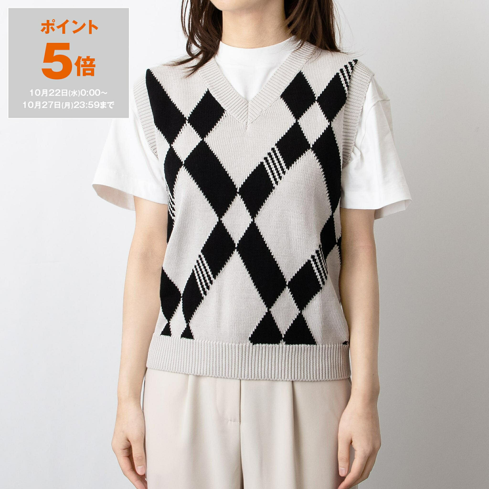 loewe チェック柄の大判ブランケット loewe チェック柄の大判ブランケット