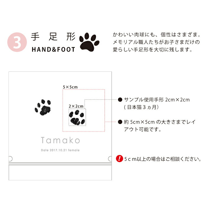 週末がお得 ポイント10倍 愛しいペットのやさしい思い出 足型 オーダーメイド うちの子記念日 フォトフレームたてがた お誕生日 インクキット付 ペット その他 足型 記念 ペット メモリアルグッズ 手形 肉球 名入れ 写真立て 犬 猫 お誕生日 バースデー 仏具 週末がお得 ポイント10倍 愛しいペットのやさしい思い出 足型 オーダーメイド うちの子記念日 フォトフレームたてがた お誕生日 インクキット付 ペット その他 足型 記念 ペット メモリアルグッズ 手形 肉球 名入れ 写真立て 犬 猫 お誕生日 バースデー 仏具