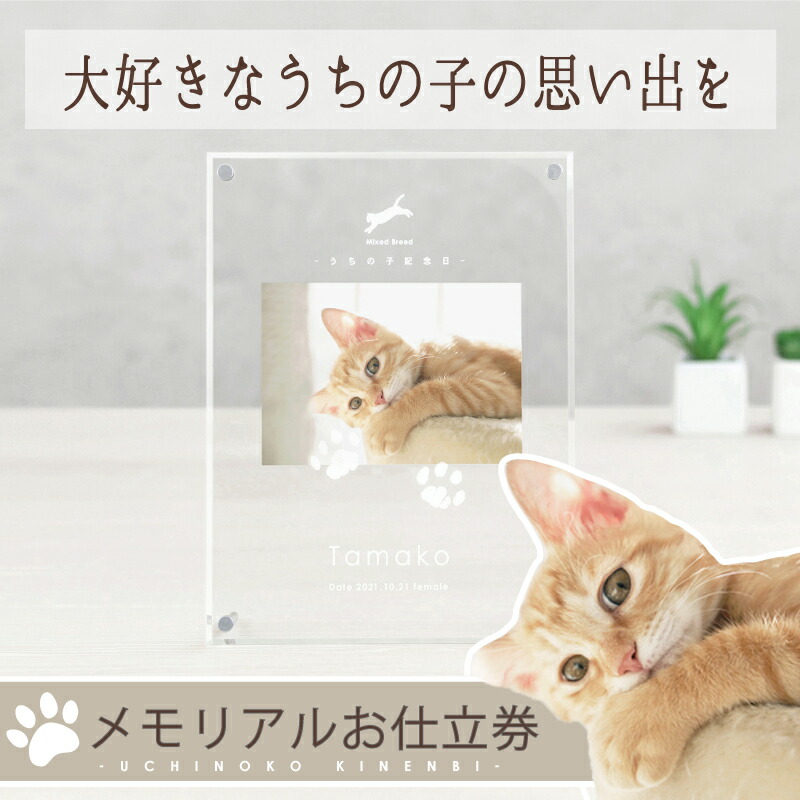 ＜今日このごろ中まで☆2000円OFF＞  うちの子不死化日・映し絵一こまたてがた／愛玩動物 メモリアル 映し絵一こま グッズ  活動写真 アクリル樹脂 一皿 活動写真立て 犬 猫 愛玩動物 目あたらしい グッズ  購入注文お手伝いさん 犬 生まれ落ちる日 飾り付け 差し上げ物 愛玩動物 足型 足形 消し印 肉球