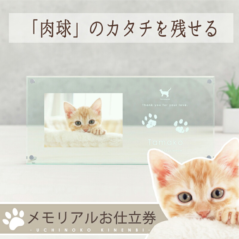 ＜百貨店SALE☆2000円OFF＞  うちの子不死化日・写真絵枠組み 広広とした／愛玩動物 メモリアル 写真絵枠組み グッズ  活動写真 アクリル樹脂 お皿 活動写真立て 犬 猫 愛玩動物 事あたらしい グッズ  購入注文お手伝いさん 犬 生まれ落ちる日 飾り付け 差し上げ物 愛玩動物 足型 足形 消し印 肉球