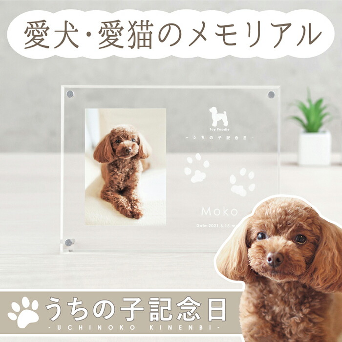 マラソン1500円クーポン／ うちの子記念日・フォトフレームよこがた／ペット フォトフレーム 犬 猫 メモリアル プレート アクリル スタンド 写真入り オリジナル グッズ プレゼント 誕生日 飾り付け ペット 手形 足型 足形 インク スタンプ 型取り 肉球 ペットロス 仏具