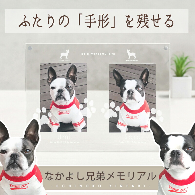 百貨店SALE☆2000円OFF／ うちの子不死化日・本日だい写真絵枠組み／愛玩動物 犬 猫 購入注文 メモリアルグッズ ありの実 ルック お一揃え 保有者 所有権者グッズ 生まれ落ちる日 誕生日 差し上げ物 飾り付け 活動写真 オリジナルグッズ アクリル樹脂 お皿 足型 肉球 型取り 消し印