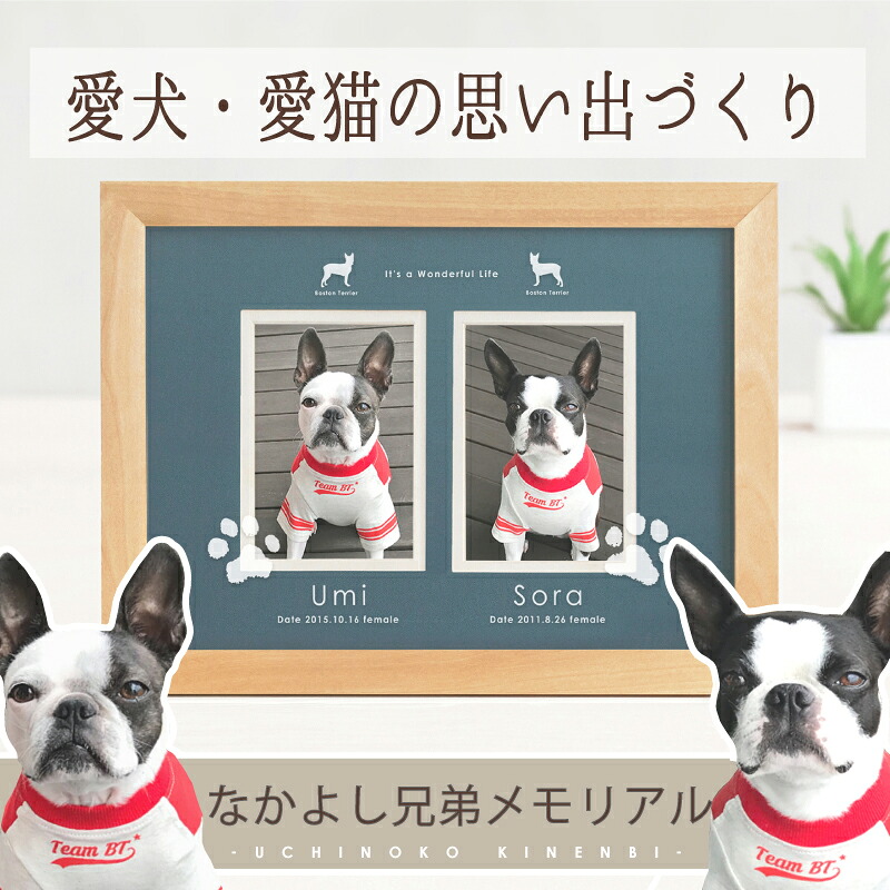 ＜百貨店SALE2000円OFF＞  うちの子祝する日・美術館ひな形 本日だい手合い／愛玩動物 犬 猫 兄ちゃん 映し絵ひな形 購入注文 メモリアル グッズ 肉球 型取り 消し印 インキ 有りの実 お一揃い 生まれ落ちる日 誕生日 飾り付け 活動写真入り口・入口 差し上げ物 名入れ お自責の念 愛玩動物天使の都市