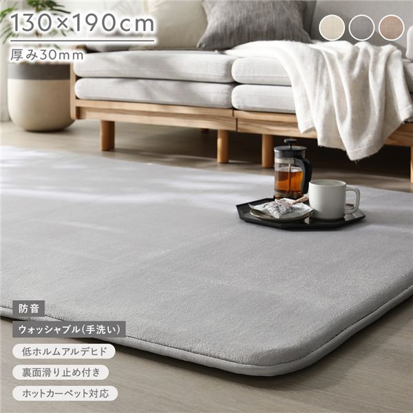 (付け出し相応う)もっちり 防音 引っ敷き 約130×190糎 ともし火薄墨色 ウレタン 綿ネル 上滑り打ちきり製作 ズレにくい 室内用便器差しゆるす 洗える ウォッシャブル 熱っぽい引っ敷き 床暖房装置可 ウレタン30粍厚 思わしい オール時節 全能 肌ざわり 引っ敷き 引っ敷き 立ち会い場つや消し ラグカーペット...