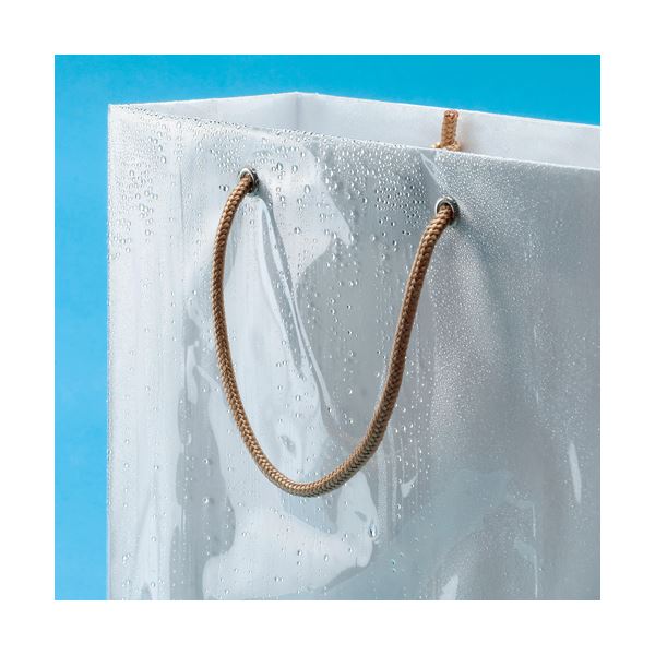 B品セール （まとめ）TANOSEE 紙手提袋 平紐 特大ヨコ340×タテ480×マチ幅170mm 茶無地 1パック（50枚）〔×5セット〕 