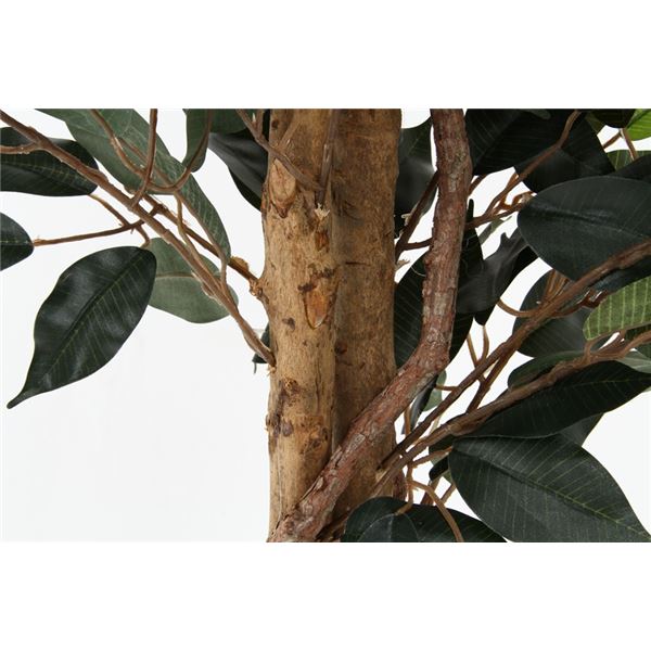 人気の福袋 【WEB限定】 新品、未使用 観葉植物 造花 約幅90cm
