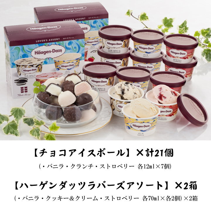 お中元早配分クーポン 6 1 0 00 T 送料無料 お取り寄せ グルメ ハーゲンダッツ チョコ氷コウ丸 お取り寄せグルメ お取り寄せスイーツ アイス皮膚軟化剤 下され物 アイスクリーム 送料無料 詰め合わせ お菓子 スイーツ ギフト 送料無料 Acilemat Com