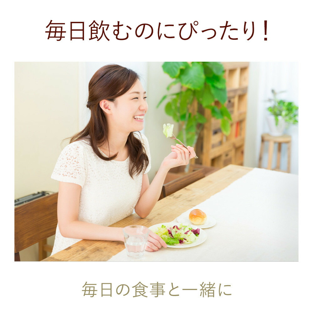 爽健美茶健康素材の麦茶600mlPET送料無料