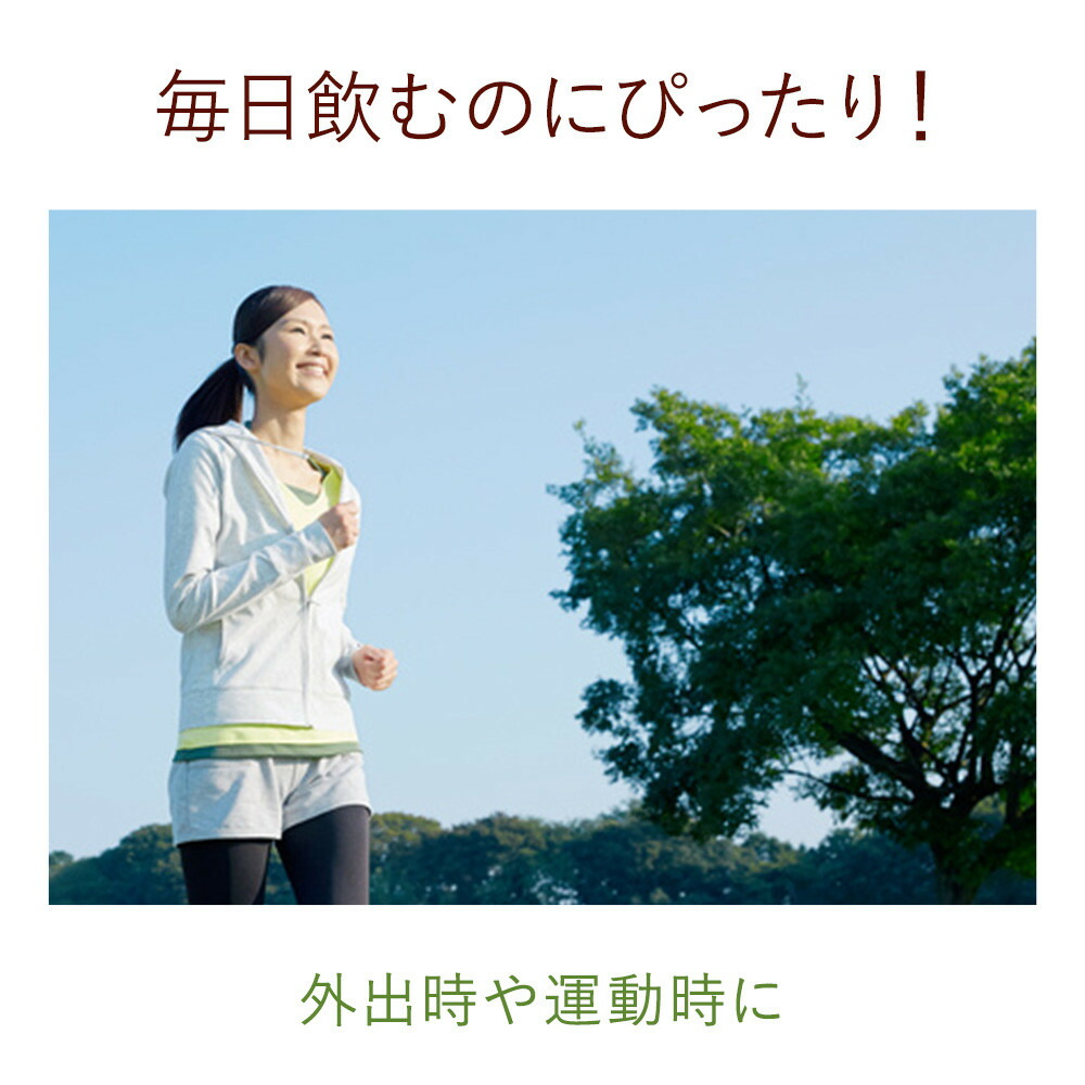 爽健美茶健康素材の麦茶600mlPET送料無料