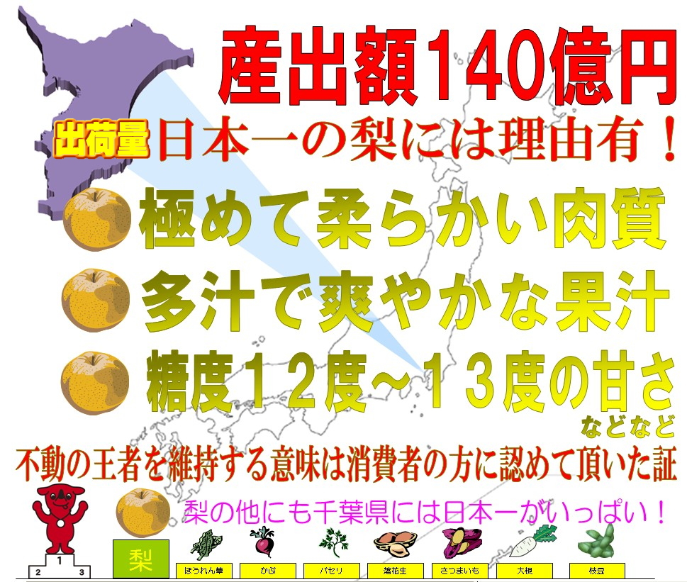 楽天市場 幸水 5kg ５ｌ 梨 5キロ 集荷量で有名 なし 全国出荷量有名産地 千葉県の梨 幸水ナシ限定予約 幸水 梨 なし 千葉県産 梨 梨 千葉 梨 幸水 千葉県 幸水梨 幸水 梨 梨 幸水 ナシ こうすい ちばや