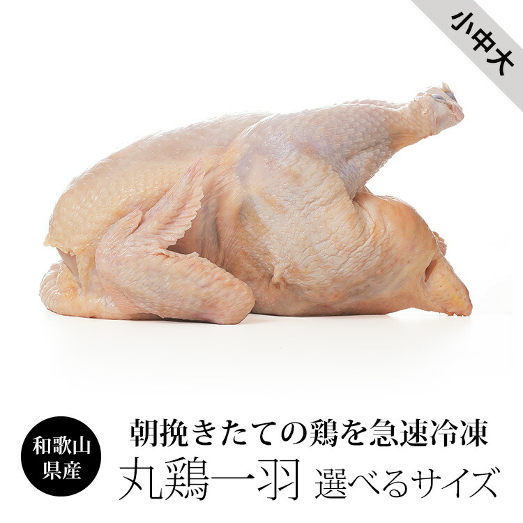 【楽天市場】(別ページで販売中) 丸鶏 1羽 【大サイズ 約2.4kg～2.8kg 冷凍】 国産 鶏肉 紀の国みかんどり 丸鳥 中抜き  クリスマスパーティー ローストチキン用 4～5人前 ブランド鶏 鳥肉 : 鶏肉、からあげ通販のチキンナカタ