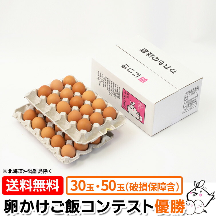 楽天市場】『 猫と、こたつと、思い出みかん。』日本初 猫専用 楽天市場】『 猫と、こたつと、思い出みかん。』日本初 猫専用