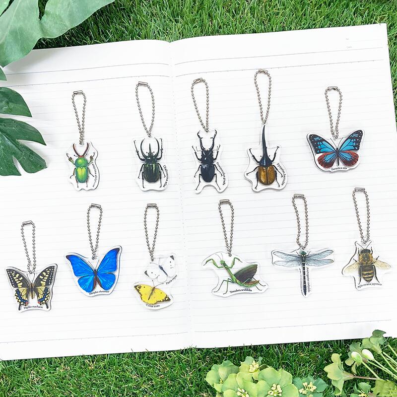 楽天市場】日本製 ガーゼタオルハンカチ 【 むしさん 】( カブト