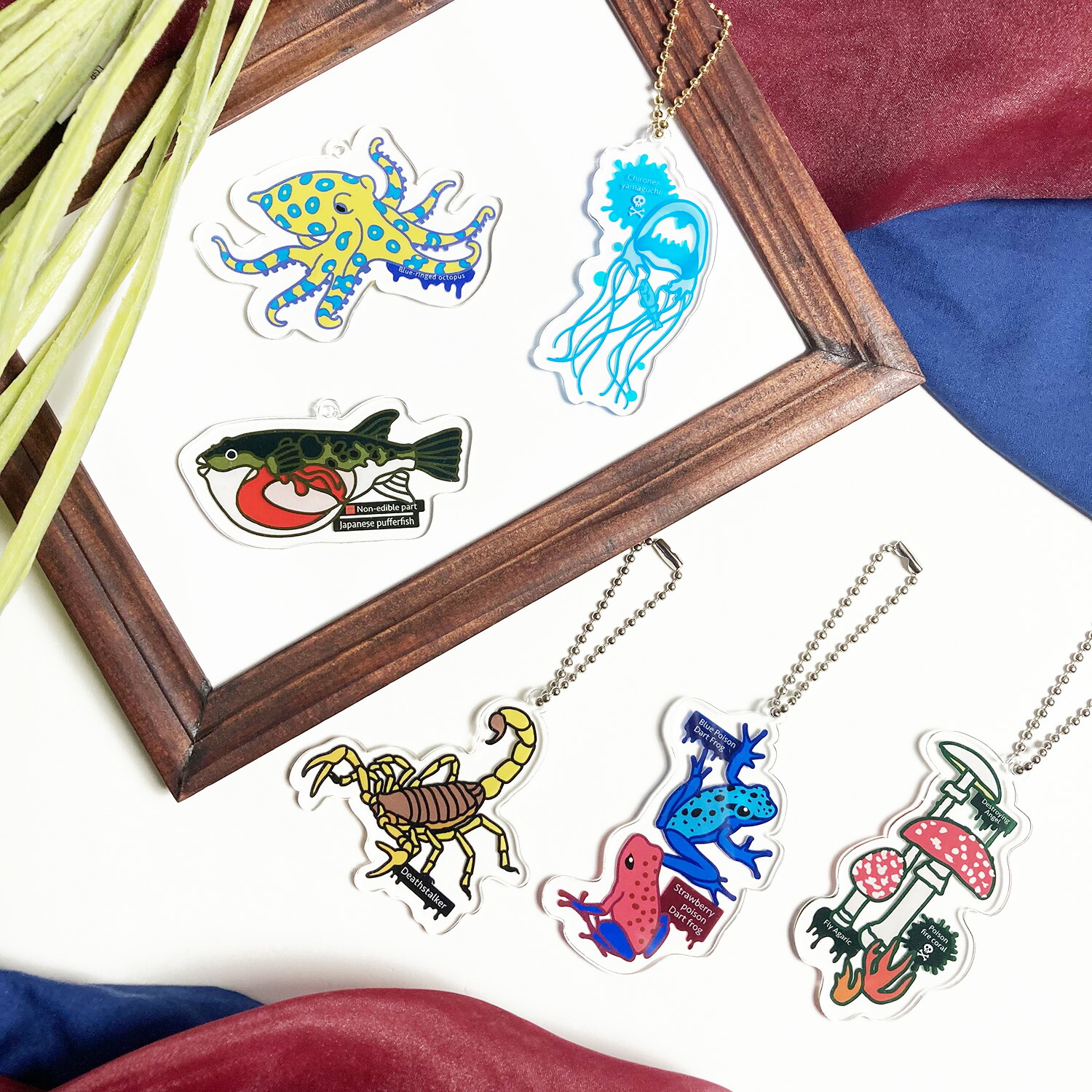 楽天市場】アクリル キーホルダー 【 有毒 】 毒 海 透明