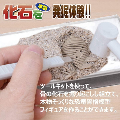 楽天市場 恐竜化石発掘 おもちゃ 発掘キット 恐竜の骨 T Rex ファインドショップ
