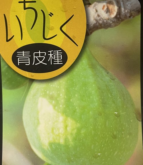 アーチペル一本1500円 楽天市場】[楽天市場店限定価格] ◇グリGO!秋のガーデニング応援祭