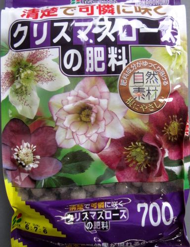 楽天市場】【早期予約品/9月16日入荷予定】クリスマスローズ 楽天市場】【早期予約品/9月16日入荷予定】クリスマスローズ