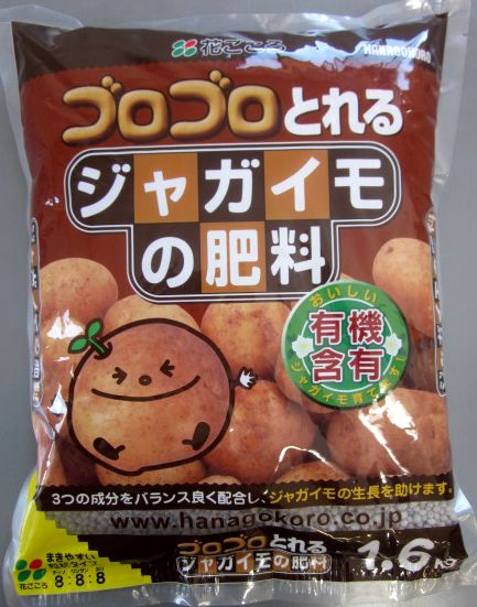 楽天市場】【実付き/選べる現品】柿の木 次郎柿(ジロウガキ) 苗木 8号