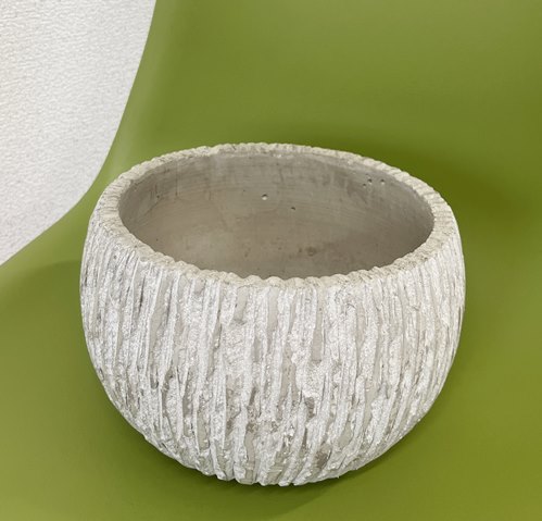 楽天市場】弁慶柱（ベンケイチュウ）サボテン 3号鉢植え 苗木