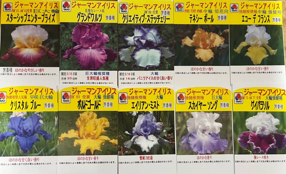 桔梗 桔梗 1979 Datsun 280ZX | Classic Cars for Sale - Streetside