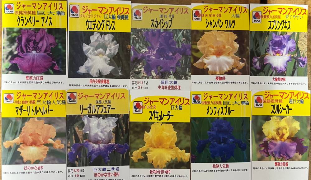 kazu ジャーマンアイリス　レアトリート　　('92 AM賞受賞)10株 ジャーマンアイリス レアトリート '92 AM賞 受賞品種 - メルカリ