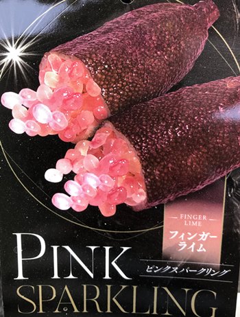 【現品】フィンガーライム（ピンク系）　5号接ぎ木苗「ピンクスパークリング」701｜千草園芸
