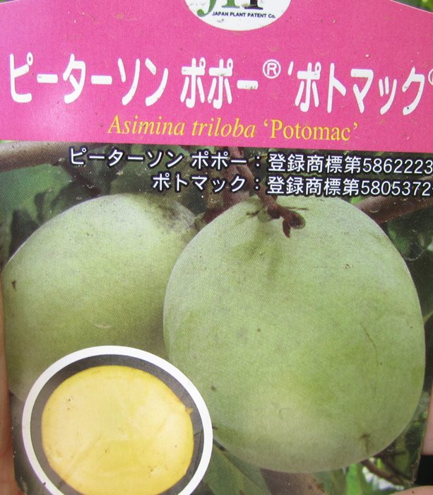 オージープランツ