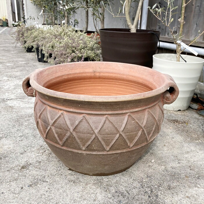 オージープランツ