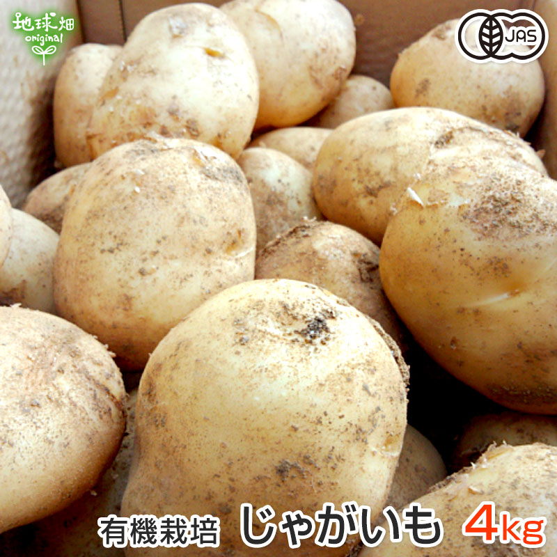 jyagaimo-ml-kag-5kg.jpg