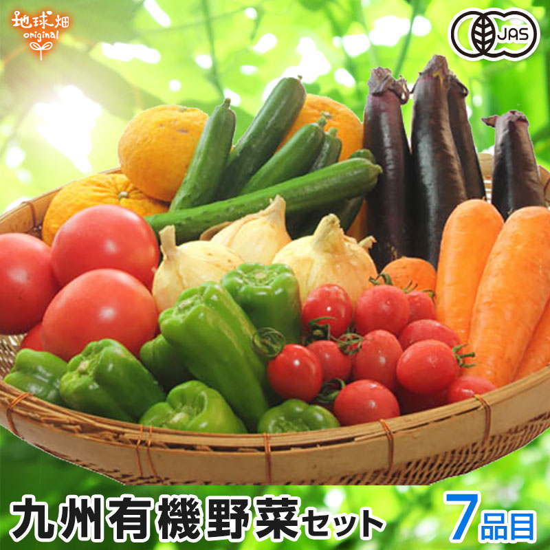 送料無料 人参 2kg 有機栽培 冷蔵便 鹿児島県産 宮崎県産 有機JAS認証 洗い にんじん ニンジン organic 人参ジュース用 無農薬  発送期間12月〜6月 www.home-sakura.com