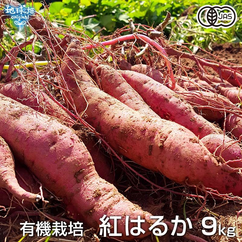 9 4 9 11 新もの 紅はるか 9kg 有機栽培 鹿児島県産 宮崎県産 土付き さつまいも 薩摩芋 サツマイモ からいも べにはるか 国産 スイートポテト 焼き芋 無農薬 Organic オーガニック 令和3年度産 楽天スーパーsale Tajikhome Com