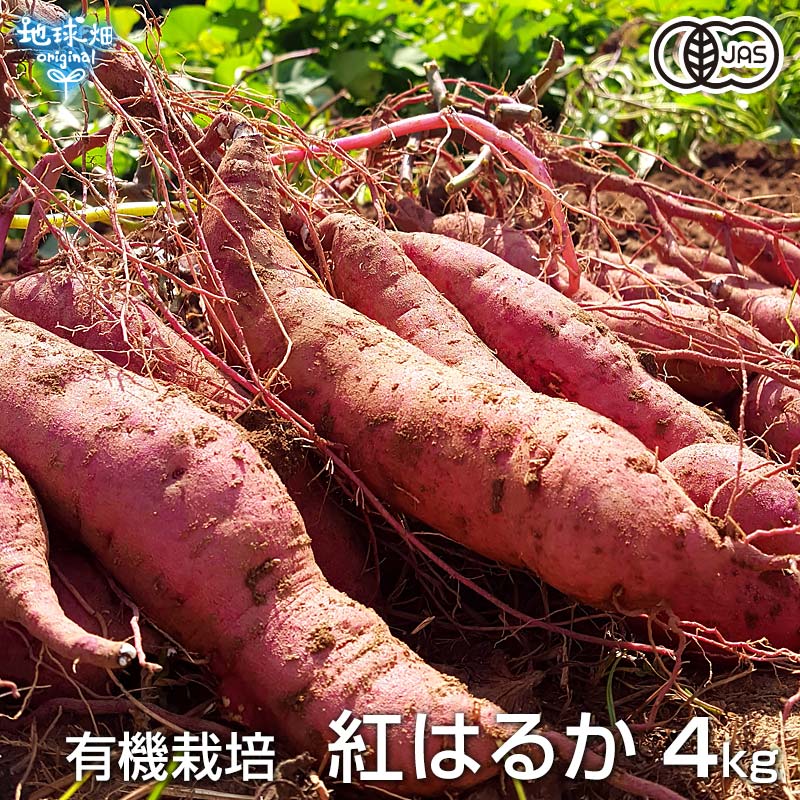 楽天市場】冷凍やきいも 有機安納芋 400g×20袋 鹿児島県産 有機栽培 焼き芋 SSサイズ 小ぶり やきいも さつまいも あんのう芋 時短 離乳食  冷凍便 送料無料 まとめ買い 業務用 : 地球畑