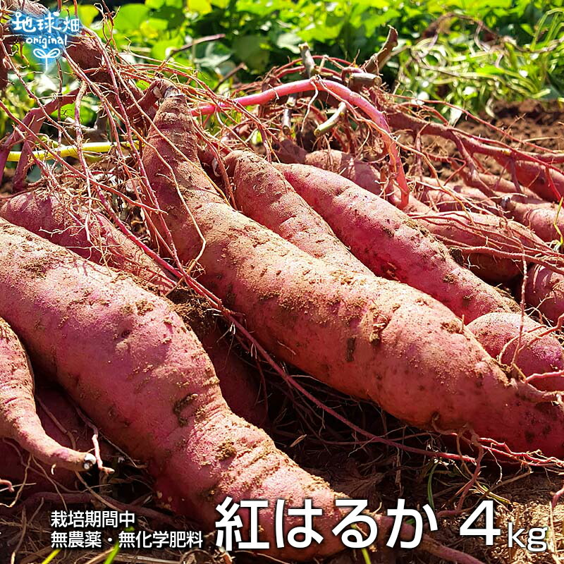 人気アイテム ①掘れたての紫山芋✨10kg✨ guidoeberding.com