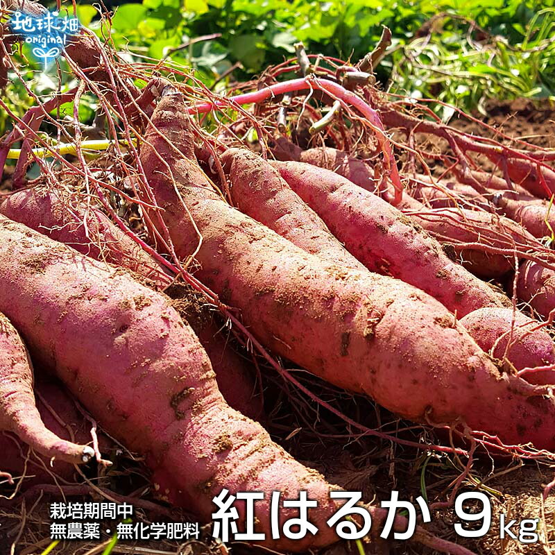 楽天市場】紅はるか 9kg 有機栽培 鹿児島県産 宮崎県産 1本100〜500g