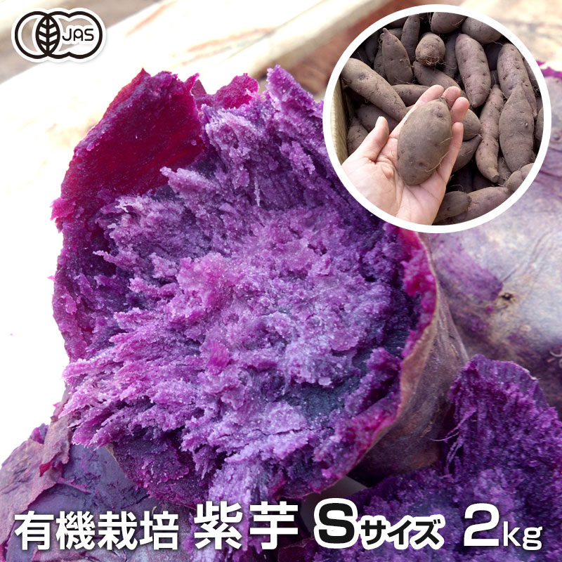 むらさきいも　 imo_murasaki_s2.jpg