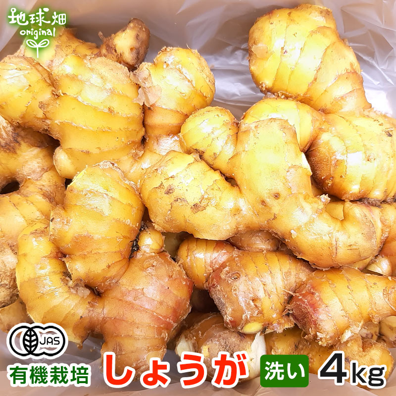 生姜 4kg 有機栽培 鹿児島県産 洗い 生 農薬 化学肥料不使用 無農薬 有機jas 生生姜 しょうが ジンジャー ショウガオール 温活 常温便 農薬や化学肥料を使わずに有機栽培で育てた生姜 洗った状態でお届けします 体の中からポカポカ温活にどうぞ 商品説明 Wevonline Org