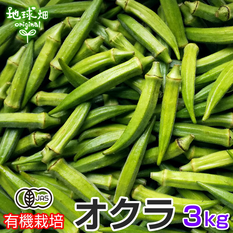 オクラ 3kg 有機栽培 鹿児島県産 有機jas おくら 生 ネバネバ おひたし 和え物 冷蔵便 無農薬 Butlerchimneys Com