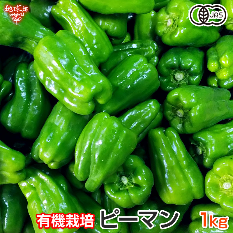 楽天市場】【8/1限定!最大半額＆最大ポイント20倍】ピーマン