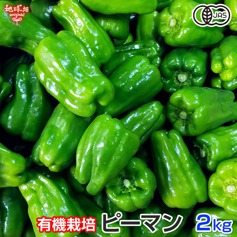 朝獲れ新鮮　高知県産ピーマン8キロ送料込み 安心安全の減農薬栽培 卸売 通販Food, Beverages And Sake - 朝獲れ新鮮 高知県産