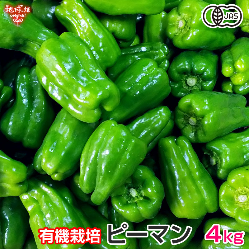 ファーム　ピーマン14キロ送料込み piman-4kg.jpg