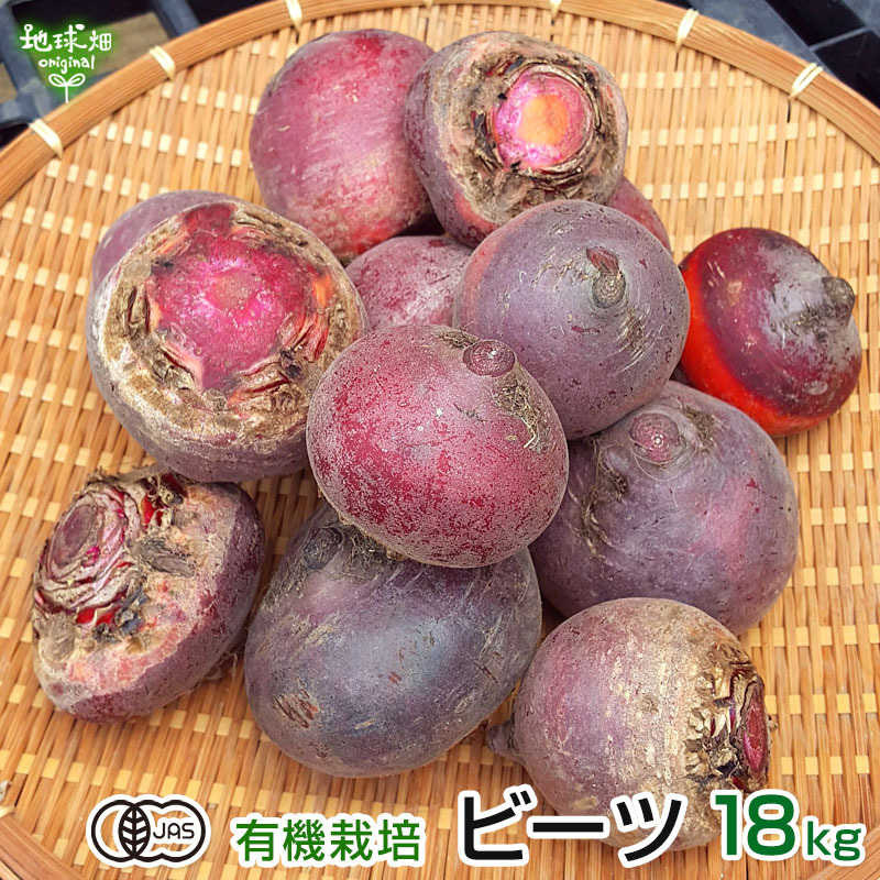 【農家直送】スーパーフード　ビーツ20キロ　（愛知県産・ビーツ）beet 農家直送】スーパーフード ビーツ20キロ （愛知県産・ビーツ