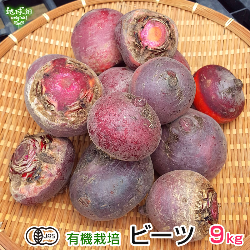 ビーツ 有機栽培 9kg 冷蔵便 鹿児島県産 宮崎県産 テーブルビート ビートルート レッドビート 火焔菜 国産 サトウダイコン ベタシアニン オーガニック organic 食べる輸血 業務用 大きさおまかせ