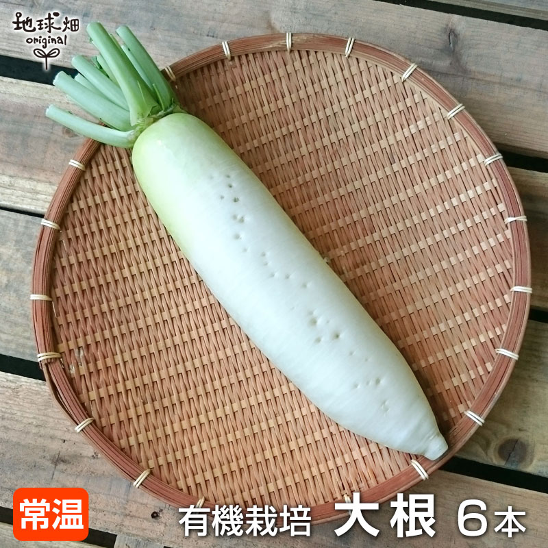 daikon_j.jpg